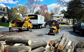 Best Firewood Processing and Delivery  in De Pue, IL