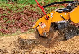 Best Tree and Shrub Care  in De Pue, IL
