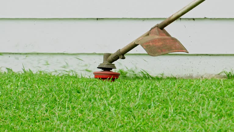 Best Lawn Grading and Leveling  in De Pue, IL